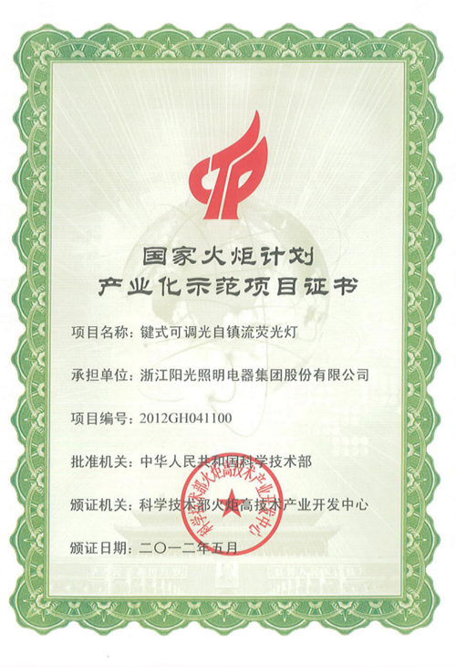 Certificate of National Torch Program Project